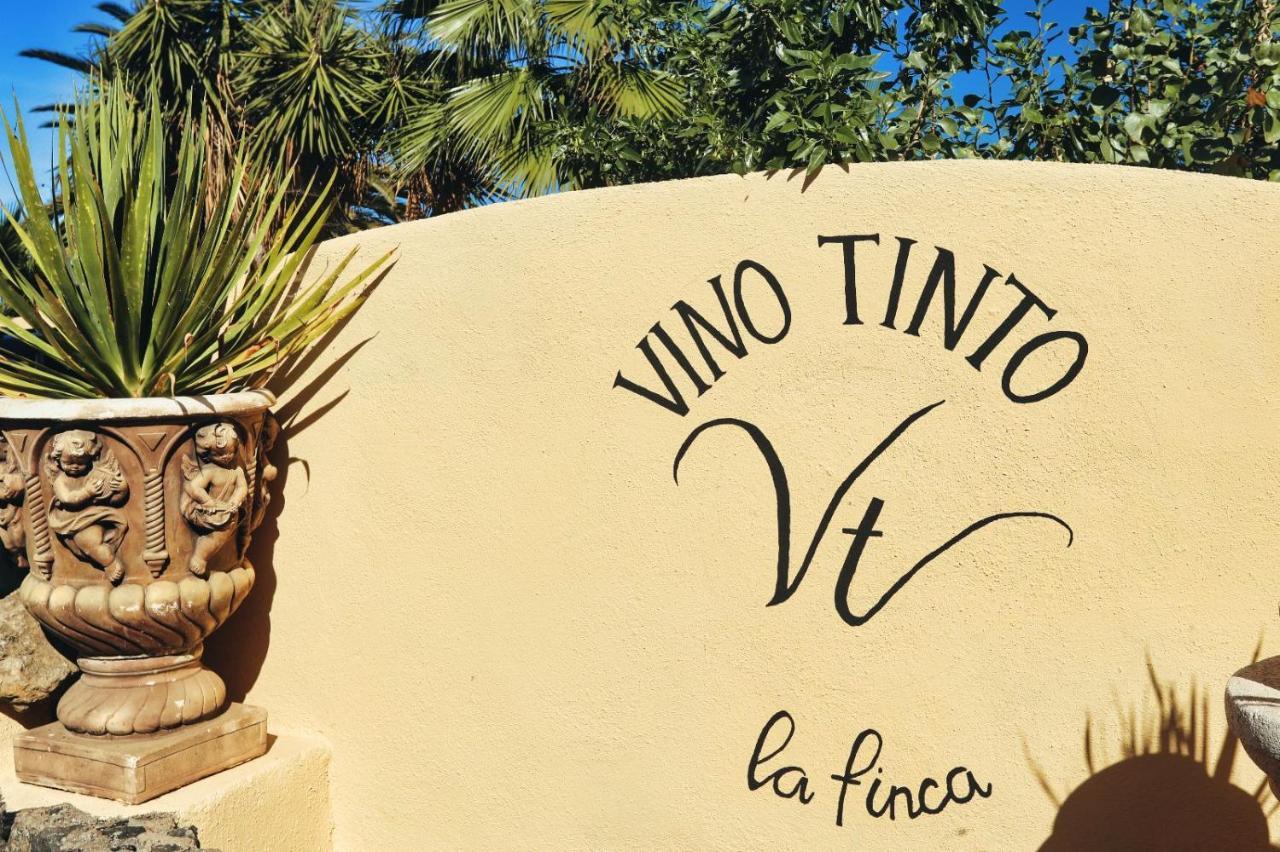 Finca Vino Tinto 2 Icod De Los Vinos Buitenkant foto